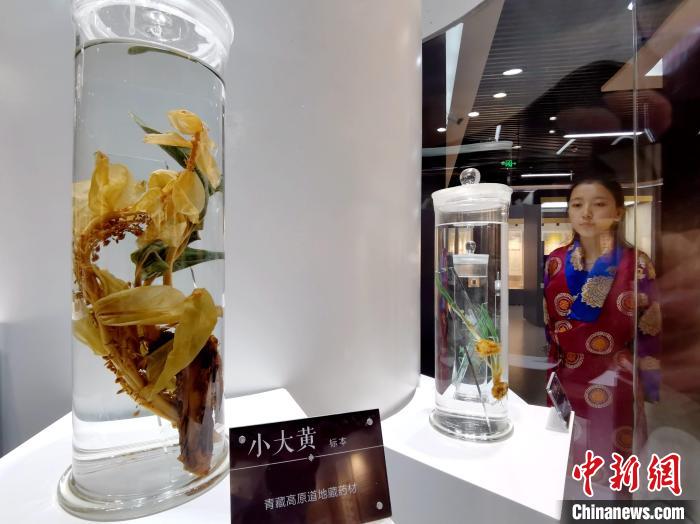 青海中藏醫(yī)藥發(fā)展提速：建設一批重點專科學科，推廣一批適宜技術(shù)