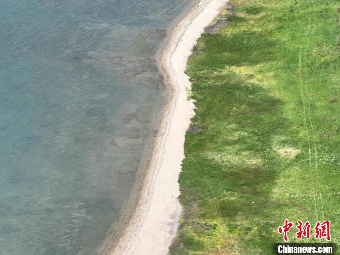 圖為航拍仲夏時節(jié)，青海湖畔綠茵如毯?！∑钤鲚?攝
