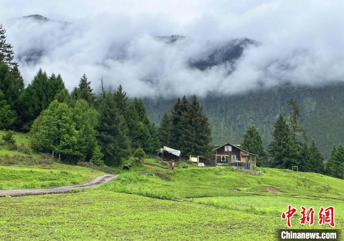6月10日，魯朗小鎮(zhèn)高山牧場(chǎng)景區(qū)風(fēng)光?！∪轿木?攝