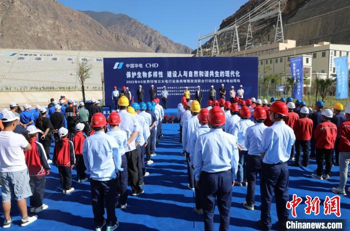 圖為蘇洼龍水電站魚類放流現(xiàn)場?！√K洼龍水電站供圖