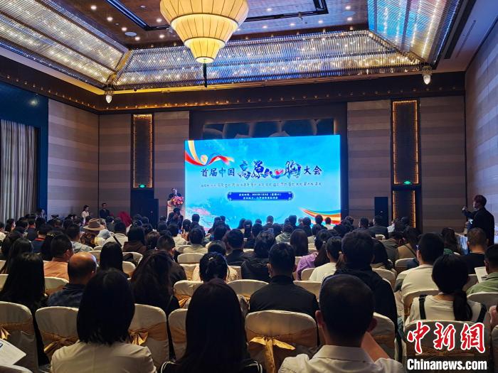 圖為首屆中國高原心胸大會現(xiàn)場?！☆D旦旺姆 攝