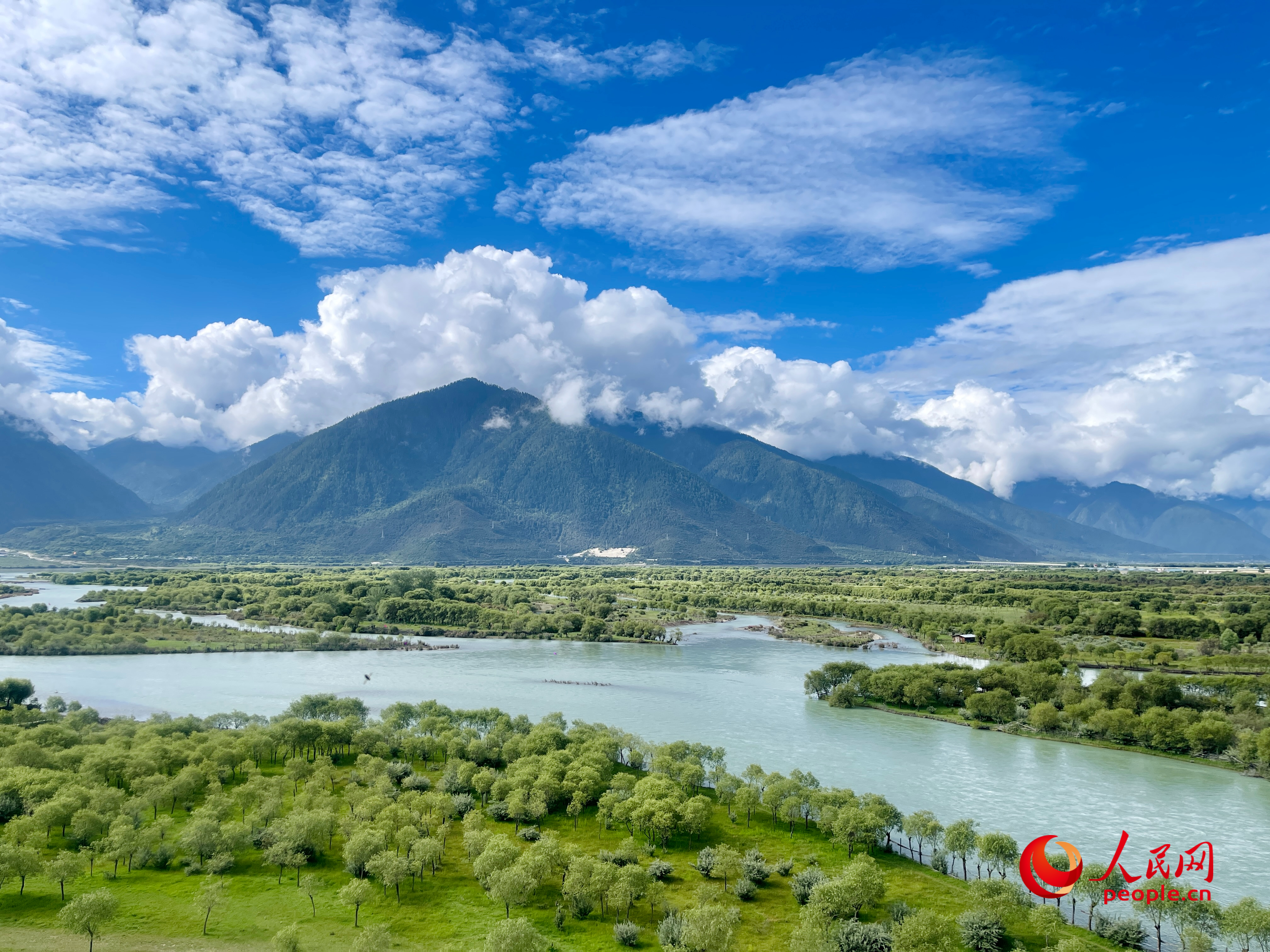 夏日的雅尼國家濕地公園生機(jī)盎然，如詩如畫。人民網(wǎng) 周靜圓攝