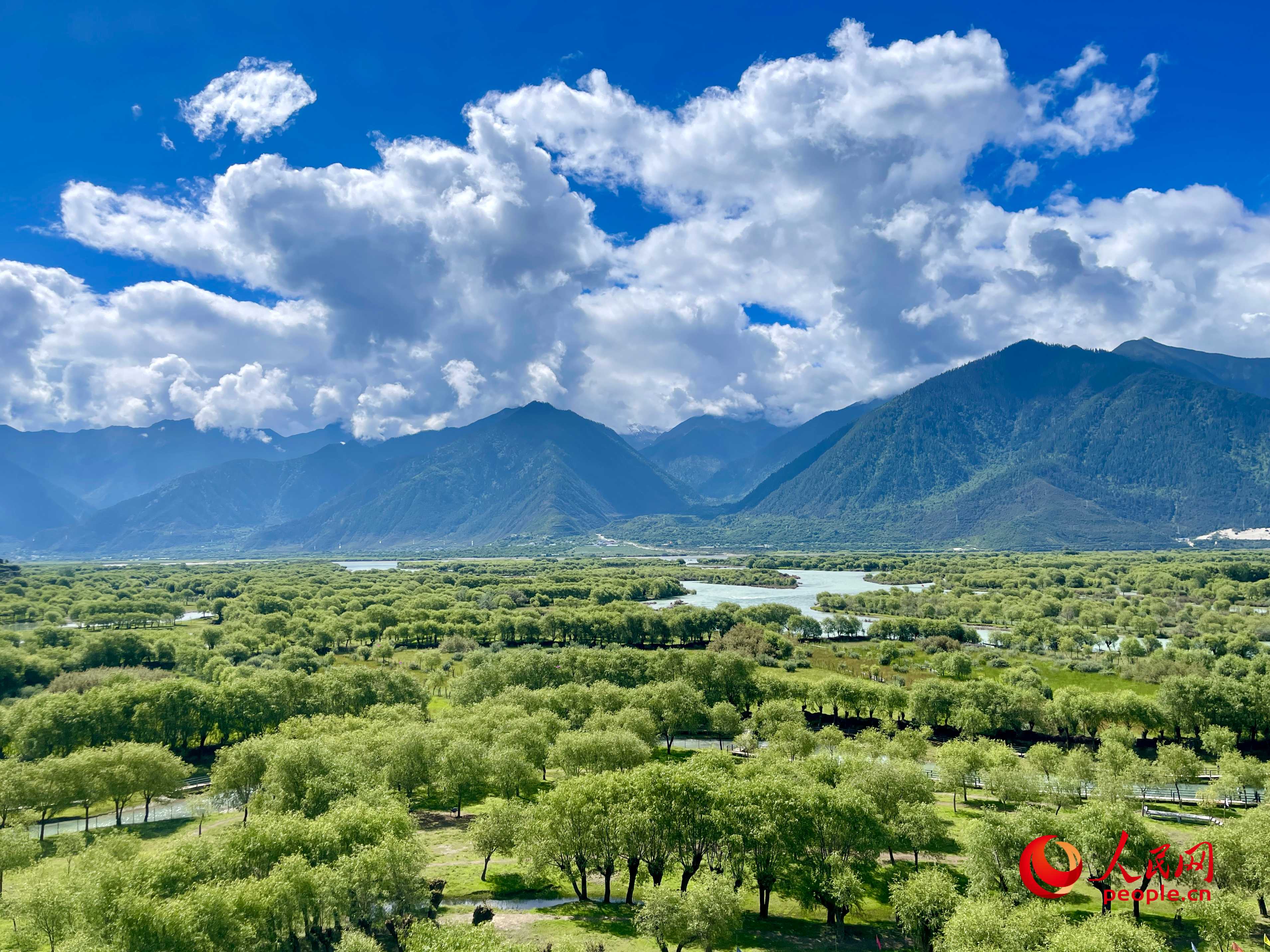 夏日的雅尼國家濕地公園生機(jī)盎然，如詩如畫。人民網(wǎng) 周靜圓攝
