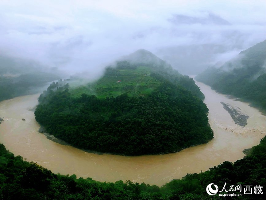 雅魯藏布江大峽谷蛇形拐彎處，山坡上種滿茶樹。