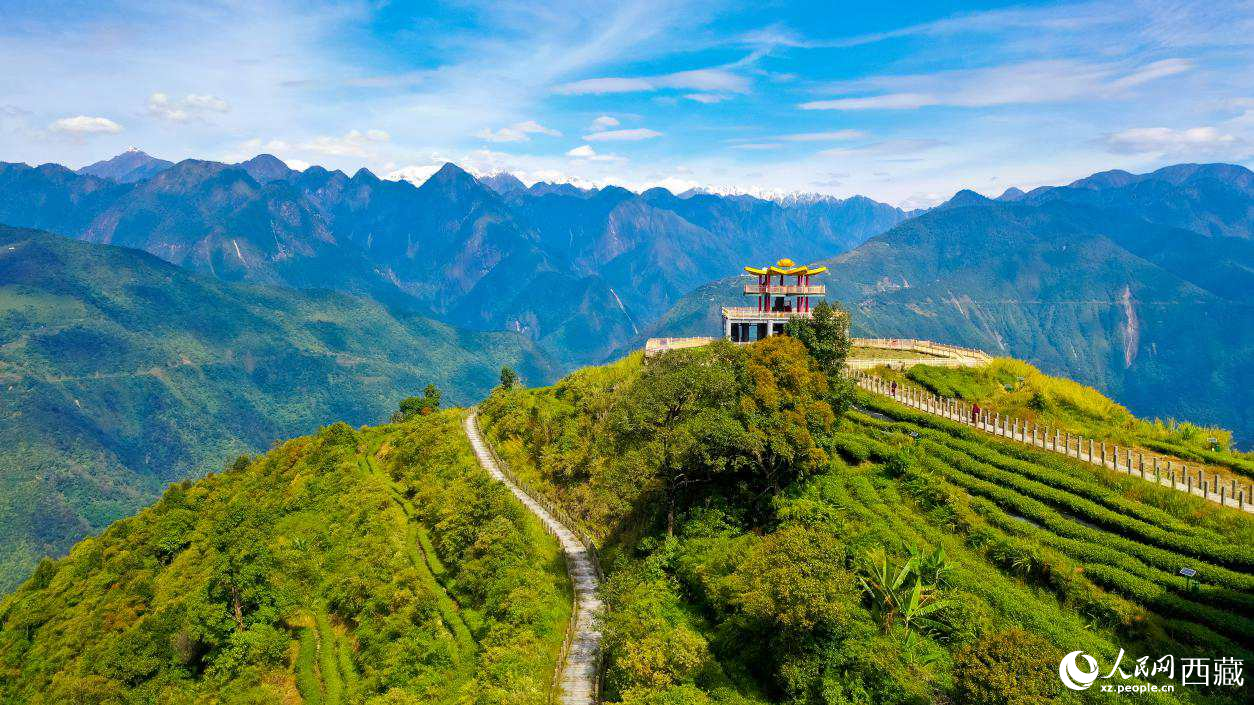 無人機(jī)航拍墨脫縣格林村蓮花觀景臺(tái)。人民網(wǎng)記者 次仁羅布攝