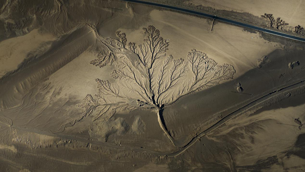 無人機視角下的西藏阿里地區(qū)改則縣“大地之樹”景觀。尼瑪多吉攝