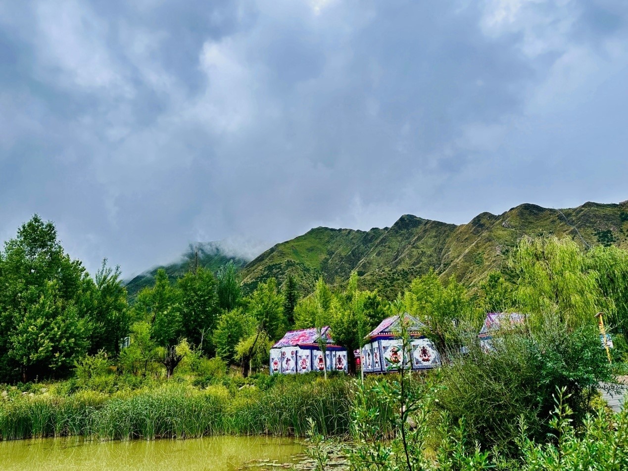 郁郁蔥蔥的南山公園。人民網(wǎng)記者 益西康珠攝