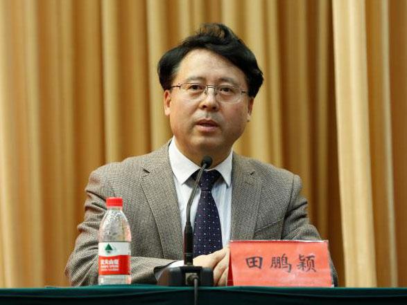 田鵬穎：投入其中、樂在其中、安身其中